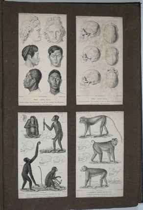 'The Animal Kingdom, Arranged According to its Organization, Serving as a Foundation for the Natural History of Animals, and an Introduction to Comparative Anatomy'. Plates contained in an album.