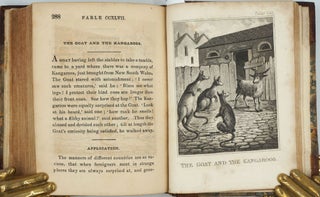 Item #25438 Kangaroos in 'The Fables of Aesop, and others: For the Improvement of Youth, with...