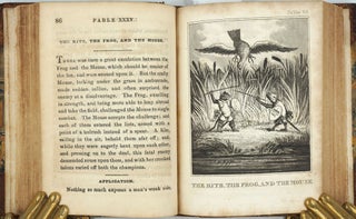 Kangaroos in 'The Fables of Aesop, and others: For the Improvement of Youth, with Instructive Applications. In Two Volumes'.