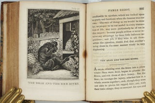 Kangaroos in 'The Fables of Aesop, and others: For the Improvement of Youth, with Instructive Applications. In Two Volumes'.