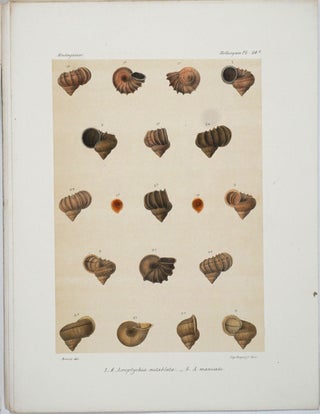 Histoire Physique, Naturelle et Politique de Madagascar - Histoire Naturelle des Mollusques, Vol XXV Atlas (plates).
