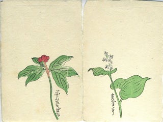 Japanese hand printed and colored note cards with original wrapper.
