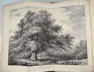 Salictum Woburnense: or, a Catalogue of Willows Indigenous and Foreign in the Collection of the Duke of Bedford at Woburn Abbey.