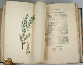 Salictum Woburnense: or, a Catalogue of Willows Indigenous and Foreign in the Collection of the Duke of Bedford at Woburn Abbey.
