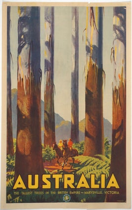 Item #25918 'Australia. The Tallest Trees in the British Empire - Marysville, Victoria'. Color...
