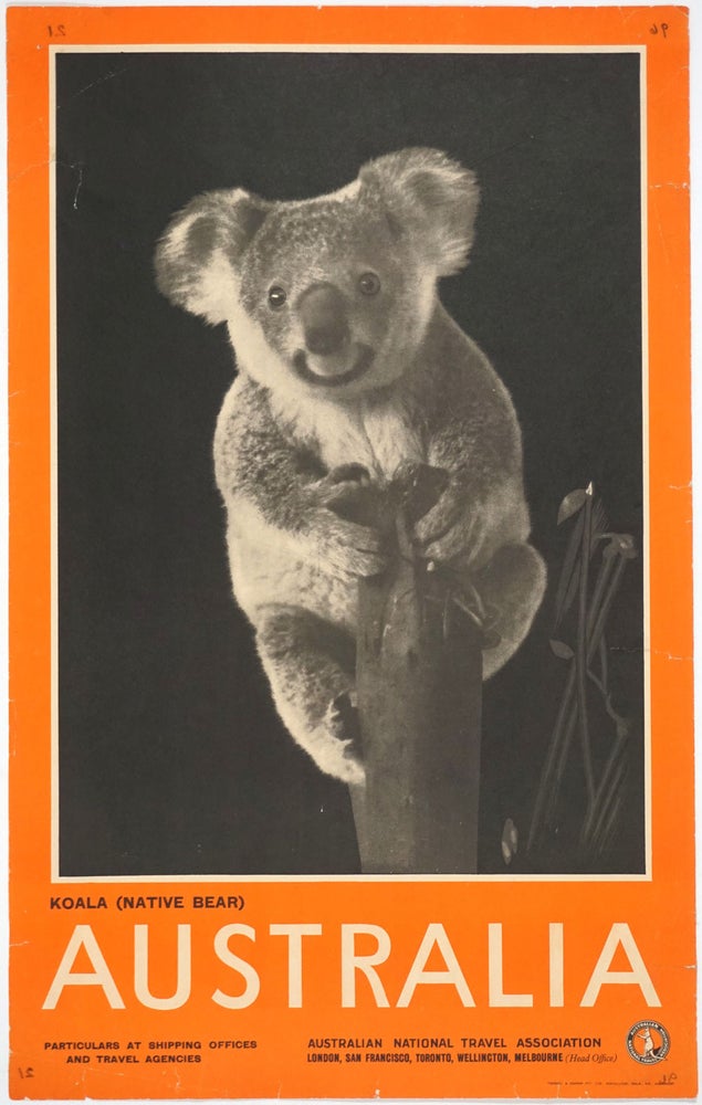 Item #25922 'Koala (native bear) Australia'. Photolithograph travel poster. Poster, Australia.