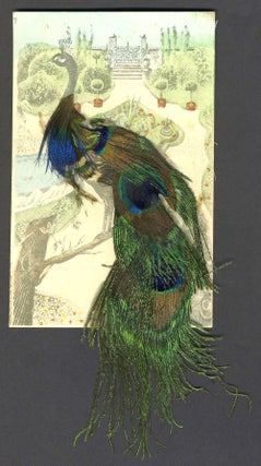 Item #26064 Peacock postcard decorated with real feathers