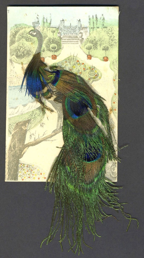 Item #26064 Peacock postcard decorated with real feathers.
