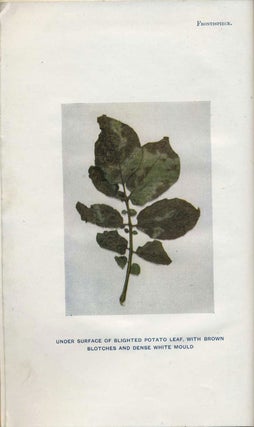 Handbook of Fungus Diseases of the Potato in Australia and Their Treatment (with) A Remedy for Potato Blight.