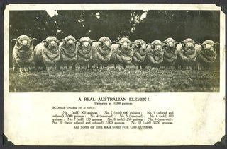 Item #26275 A real Australian eleven! …Unbeaten at 11,200 guineas. All sons of one ram sold...