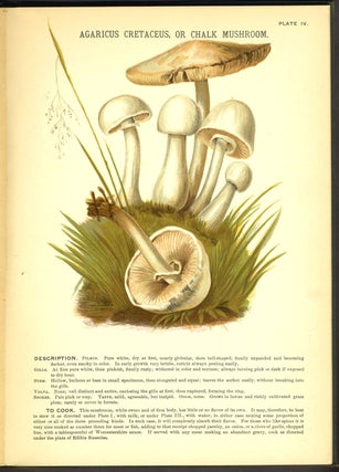 Mushrooms of America; Edible and Poisonous.