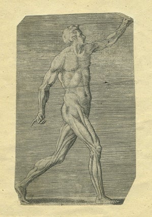 Item #26687 [Walking man, featuring his muscle definition]. Giulio Bonasone