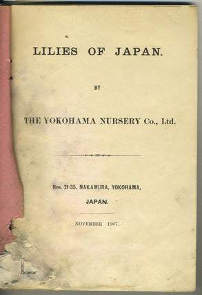 Lilies of Japan by The Yokohama Nursery Co., Ltd.
