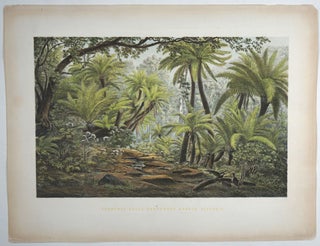 Item #26902 Fern Tree Gully Dandenong Ranges Victoria. Victoria, Prints, Eugene von Guerard
