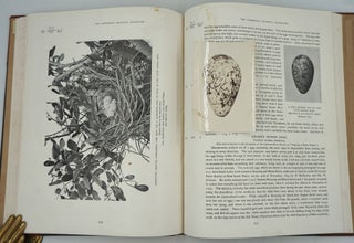 Egg Collecting and Bird Life of Australia. Catalogue and Data of the "Jacksonian Oological Collection," Illustrated with Numerous Photographs depicting various incidents and items in connection with this interesting study, which has been the life work of the author.