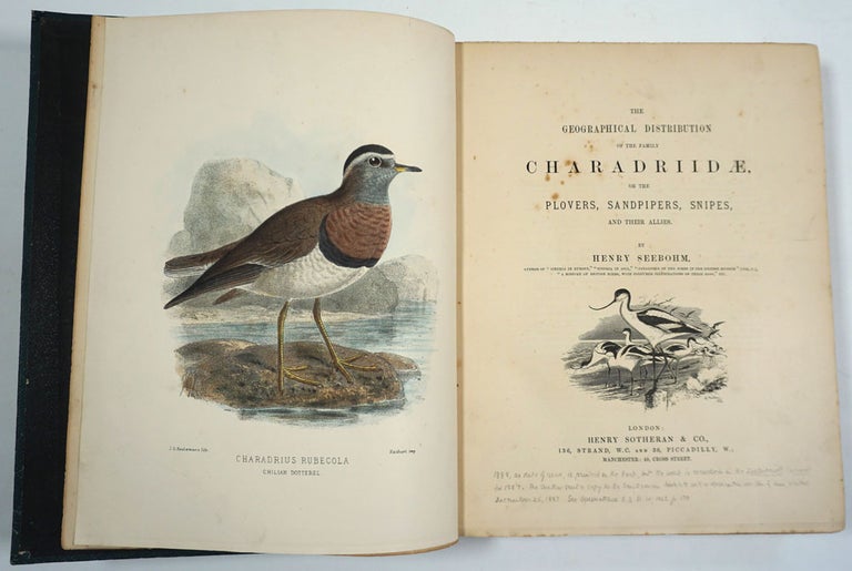 Item #27187 The Geographical Distribution of the Family Charadriidae, or the Plovers, Sandpipers, Snipes and their Allies. Henry Seebohm, Hubert Massey Whittell.