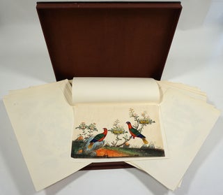 Chinese Pith Painting collection of 69 images from the Library of Edward Laurence & Carrie Estelle Doheny.
