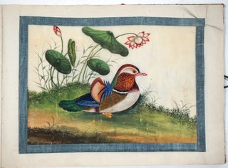 Item #27225 A twelve-leaf album of Chinese export paintings of Birds. Chinese Pith Paintings