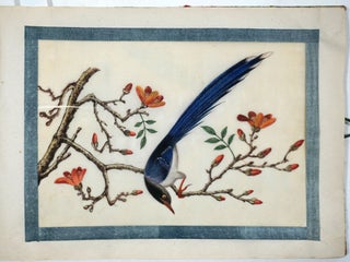 A twelve-leaf album of Chinese export paintings of Birds.