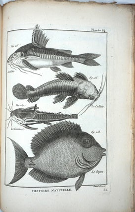 Item #27494 Tableau Encyclopédique et Méthodique des Trois Règnes de la Nature: Ichthyologie...