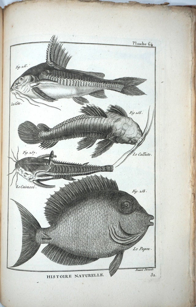 Item #27494 Tableau Encyclopédique et Méthodique des Trois Règnes de la Nature: Ichthyologie (Plates only). Prints, Fish.
