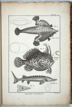 Tableau Encyclopédique et Méthodique des Trois Règnes de la Nature: Ichthyologie (Plates only).