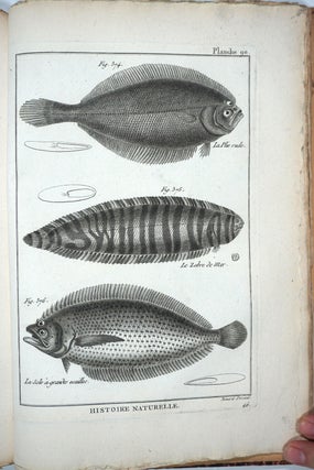 Tableau Encyclopédique et Méthodique des Trois Règnes de la Nature: Ichthyologie (Plates only).