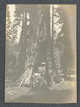 American West Travel Photo Album with 101 venacular photographs of Colorado, California and Mexico in 1907.