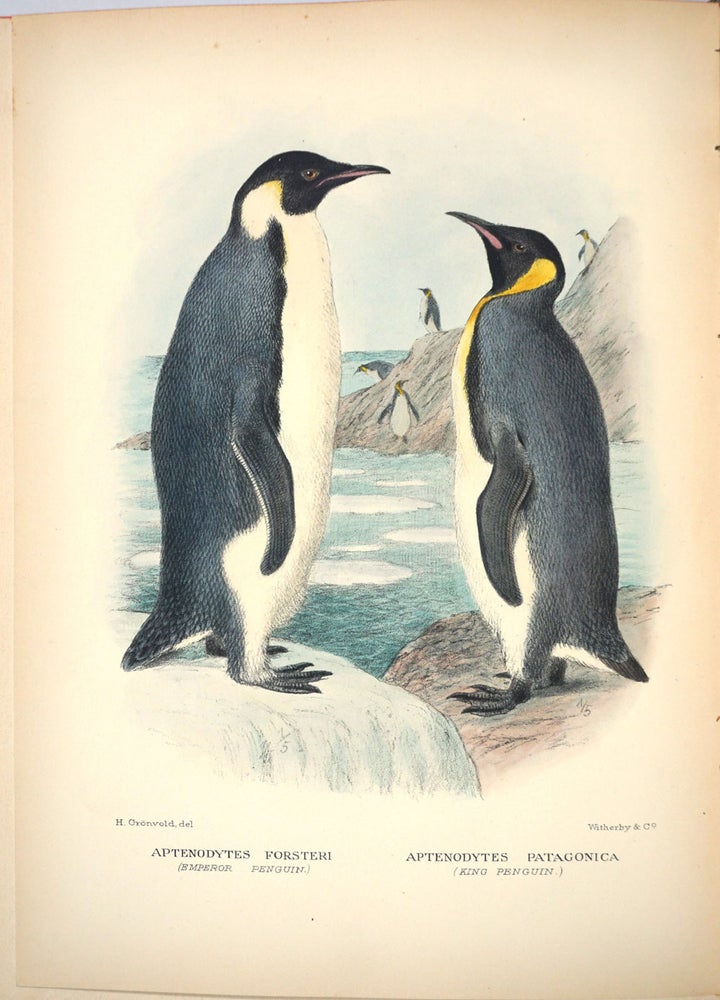 Item #27707 The Birds of Norfolk and Lord Howe Islands [with] A Supplement to the Birds of Norfolk and Lord Howe Islands, to which is added those Birds of New Zealand not figured by Buller. Gregory M. Mathews.