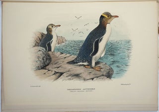 The Birds of Norfolk and Lord Howe Islands [with] A Supplement to the Birds of Norfolk and Lord Howe Islands, to which is added those Birds of New Zealand not figured by Buller.