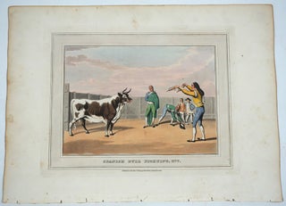 13 Spanish Bull Fighting plates, aquatint, complete set.