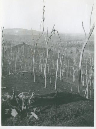 Australian Photographs and Correspondance from 1930.