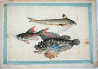 Item #27902 A twelve-leaf album of Chinese export paintings of exquisite Fish paintings. Chinese...