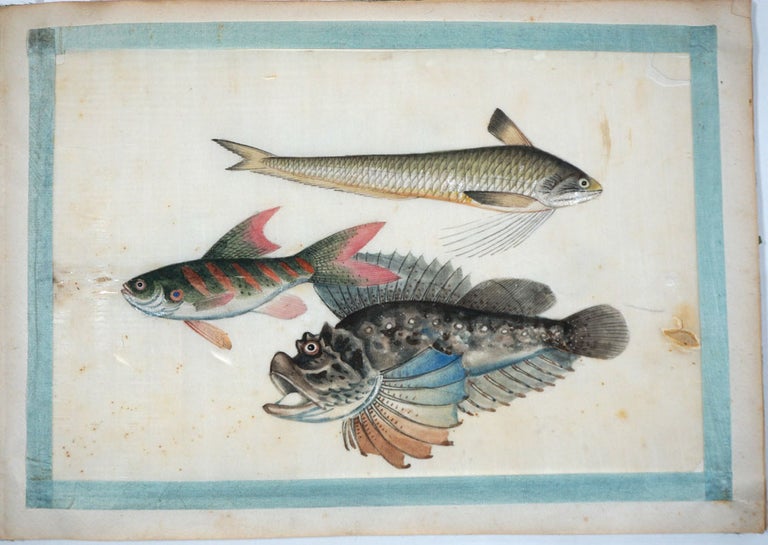 Item #27902 A twelve-leaf album of Chinese export paintings of exquisite Fish paintings. Chinese Pith Paintings.