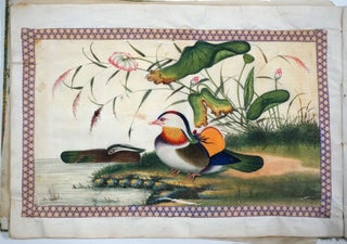 Item #27903 A 36-leaf album of Chinese export paintings of Birds, Shells and Chinese life....