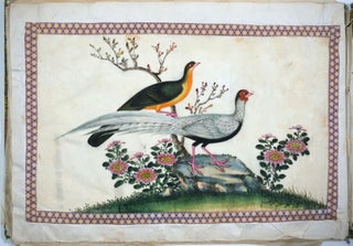 A 36-leaf album of Chinese export paintings of Birds, Shells and Chinese life.