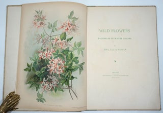 Item #27948 Wild Flowers / Facsimiles of Water Colors by Mrs. Ellis Rowan. Ellis Rowan