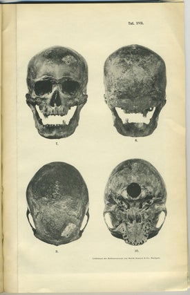 Item #28245 Beitrag zur Kraniologie und Osteologie der Maori. Dr. Th Mollison