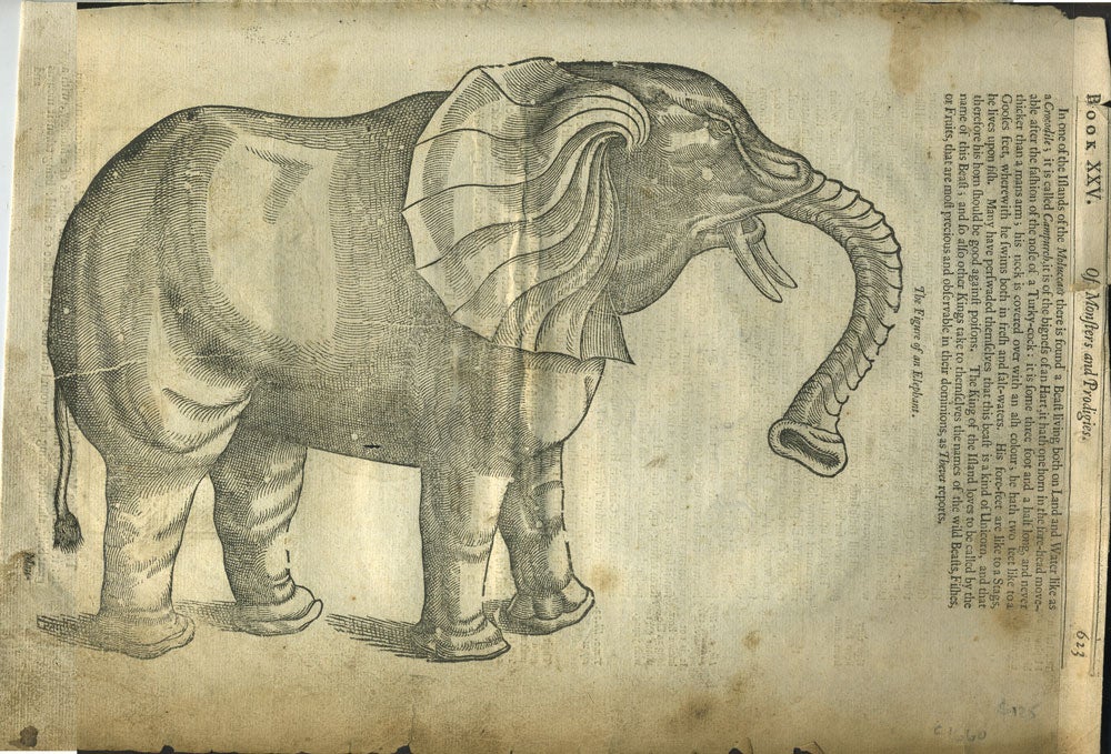 Of Monsters and Prodigies. The Figure of an Elephant, wood engraving ...