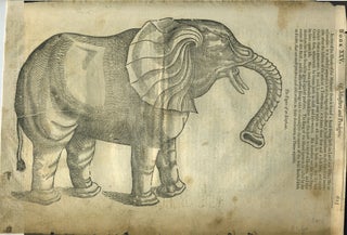 Item #28282 Of Monsters and Prodigies. (The Figure of an Elephant, wood engraving). Print, Elephant