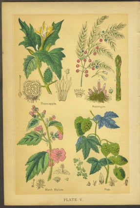 Medicinal Plants & Flowers, chromolithograph plates.