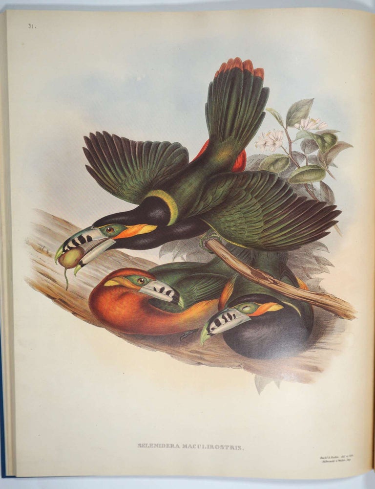 Item #28526 A Monograph of The Ramphastidae or Family of Toucans. John Gould.