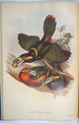 Item #28526 A Monograph of The Ramphastidae or Family of Toucans. John Gould
