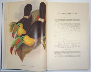 A Monograph of The Ramphastidae or Family of Toucans.