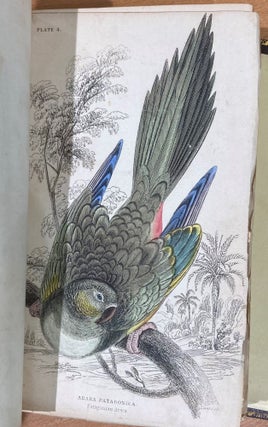 The Natural History of Parrots from Jardine's Natural History series.