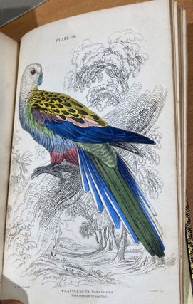 The Natural History of Parrots from Jardine's Natural History series.